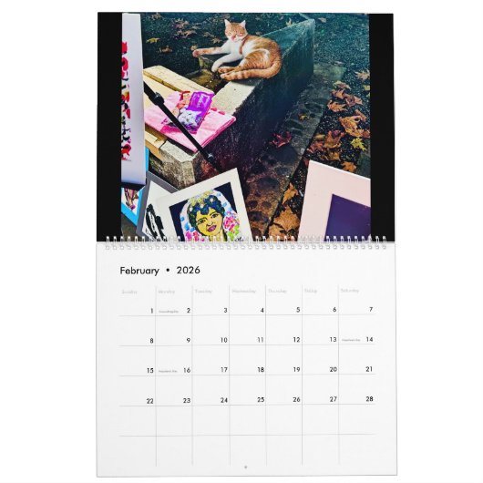 Calendrier RSD dans le monde | Chats des Balkans (Feb 2026)