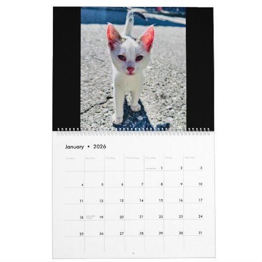 Calendrier RSD dans le monde | Chats des Balkans (Jan 2026)