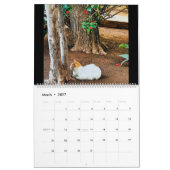 Calendrier RSD dans le monde | Chats du Maroc (Mar 2027)