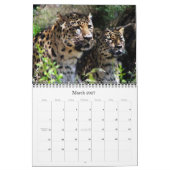 Calendrier rSEANd - nature (Mar 2027)