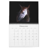 Calendrier rSEANd - nature (Feb 2026)