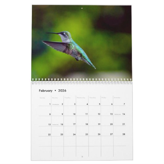 Calendrier Ruby Throated Hummingbird 2025 (Feb 2026)