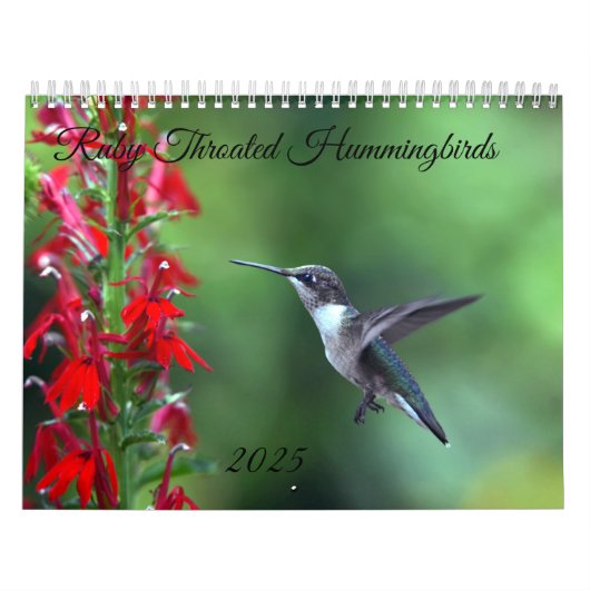 Calendrier Ruby Throated Hummingbird 2025 (Protection)