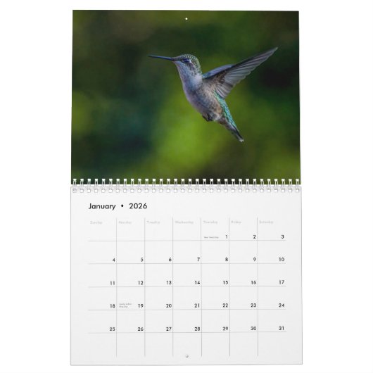 Calendrier Ruby Throated Hummingbird 2025 (Jan 2026)