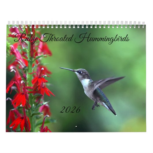 Calendrier Ruby Throated Hummingbird 2026  Calendar (Protection)