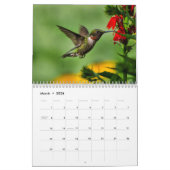 Calendrier Ruby Throated Hummingbirds (Mar 2026)
