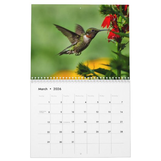 Calendrier Ruby Throated Hummingbirds (Mar 2026)