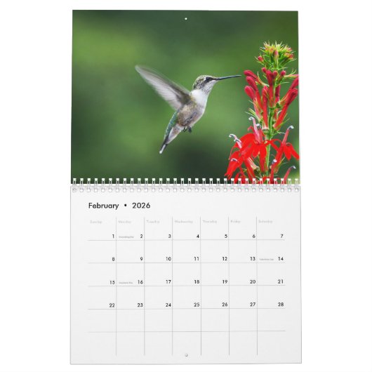 Calendrier Ruby Throated Hummingbirds (Feb 2026)