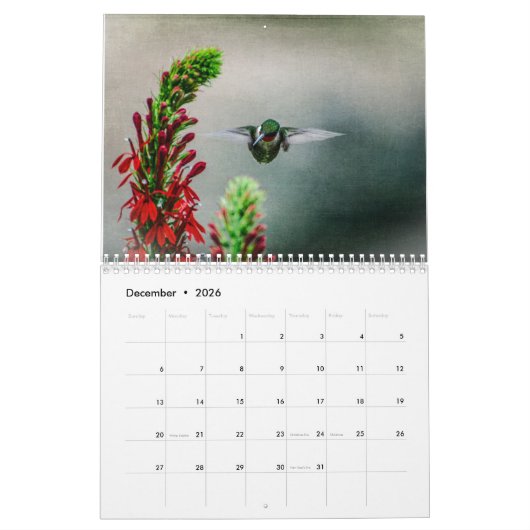 Calendrier Ruby Throated Hummingbirds (Dec 2026)