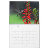 Calendrier Ruby Throated Hummingbirds (Jan 2026)