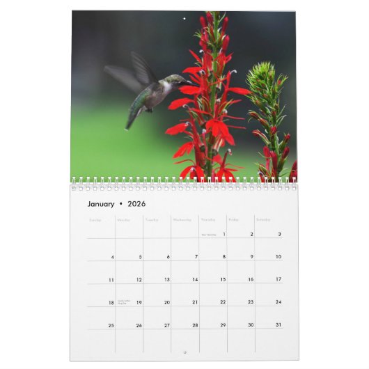 Calendrier Ruby Throated Hummingbirds (Jan 2026)