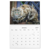 Calendrier Rustiques Chats & Chatons  HAMbyWG (Jan 2027)