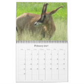 Calendrier safari 2027 (Feb 2027)
