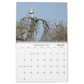 CALENDRIER SAFARI AFRICAIN (Feb 2027)