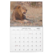 CALENDRIER SAFARI AFRICAIN (Jan 2026)