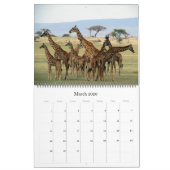 Calendrier safari africain 2025 grand (Mar 2026)