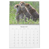 Calendrier safari africain 2027 (Jan 2027)