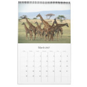 Calendrier safari africain girafe (Mar 2027)