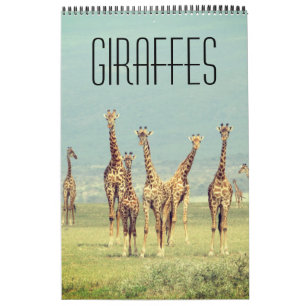 Calendrier safari africain girafe