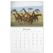 Calendrier safari africain grand 2025 (Mar 2026)