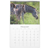 Calendrier safari africain kruger (Feb 2027)