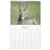 Calendrier safari africain kruger (Mar 2027)