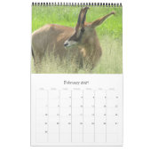 Calendrier safari afrique 2027 (Feb 2027)