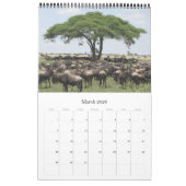 Calendrier safari antilope africaine 2025 (Mar 2026)
