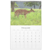 Calendrier safari antilope africaine 2025 (Feb 2026)