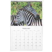 Calendrier safari aux zèbres (Jan 2027)