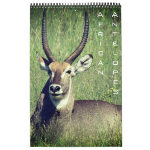 Calendrier safari d'antilope africaine 2027
