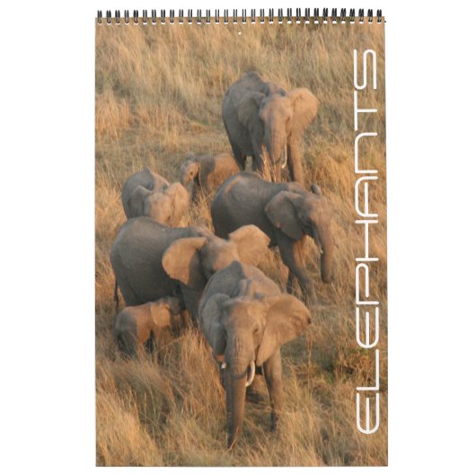 Calendrier safari d'éléphants (Protection)