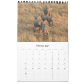 Calendrier safari d'éléphants (Feb 2027)