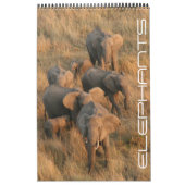 Calendrier safari d'éléphants (Protection)