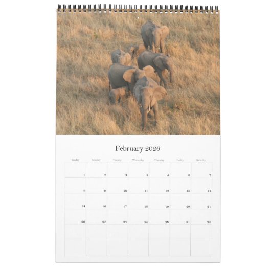 Calendrier safari d'éléphants (Feb 2026)