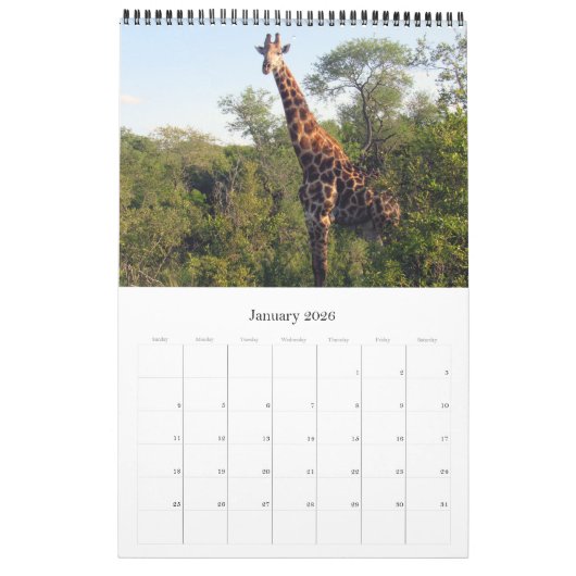 Calendrier safari en afrique kruger (Jan 2026)