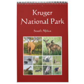 Calendrier safari en afrique kruger (Protection)