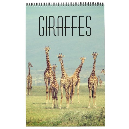 Calendrier safari en girafe (Protection)