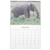 Calendrier safari en Tanzanie (Jan 2027)