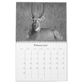 Calendrier safari noir & blanc 2026 (Feb 2027)