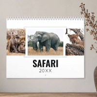 Safari Photos d'Animaux Sauvages d'Afrique Les Cin