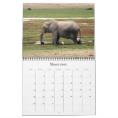 Calendrier safari sauvage 2025 (Mar 2026)