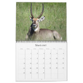Calendrier safari sud-africain 2027 (Mar 2027)