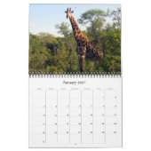 Calendrier safari sud-africain 2027 (Jan 2027)