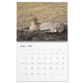 Calendrier Safari Wildlife 2026 Wall Calendar (Big Five & Bey (Mar 2027)