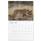 Calendrier Safari Wildlife 2026 Wall Calendar (Big Five & Bey (Feb 2026)