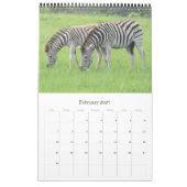 Calendrier safari zèbre (Feb 2027)