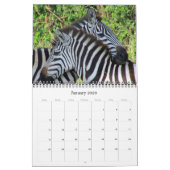 Calendrier safari zèbre 2026 (Jan 2026)