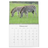 Calendrier safari zèbre 2027 (Feb 2027)