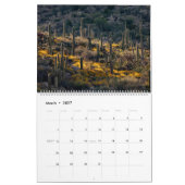 Calendrier Saguaros Extraordinaire (Mar 2027)